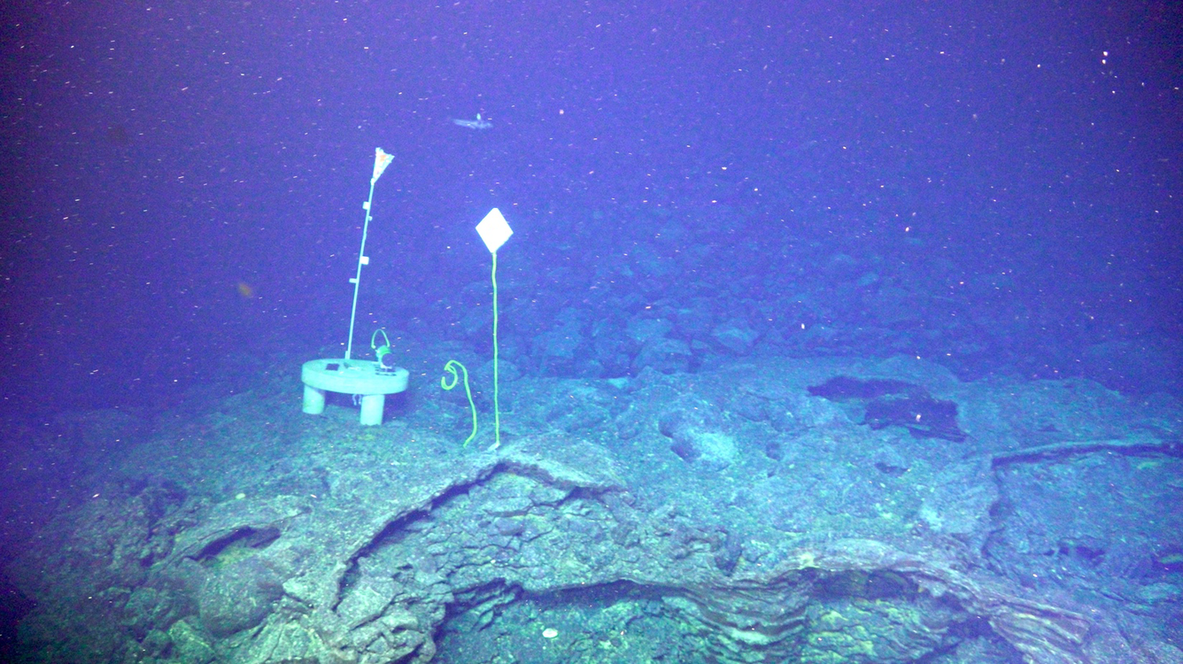 Scientific gadgets at the base of the western caldera wall of the Axial Seamount volcano. Scientific gadgets at the base of the western caldera wall of the Axial Seamount volcano.