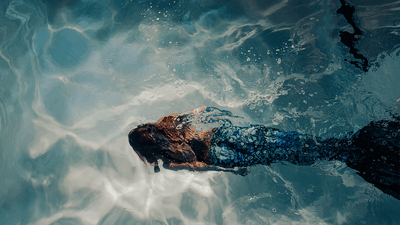 A mermaid.